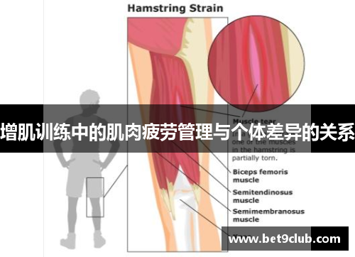 增肌训练中的肌肉疲劳管理与个体差异的关系